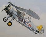 Original Watercolour Painting - Gloster Gadiator - Signed Bell - Framed